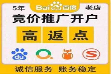 关键词竞价排名实战案例分析